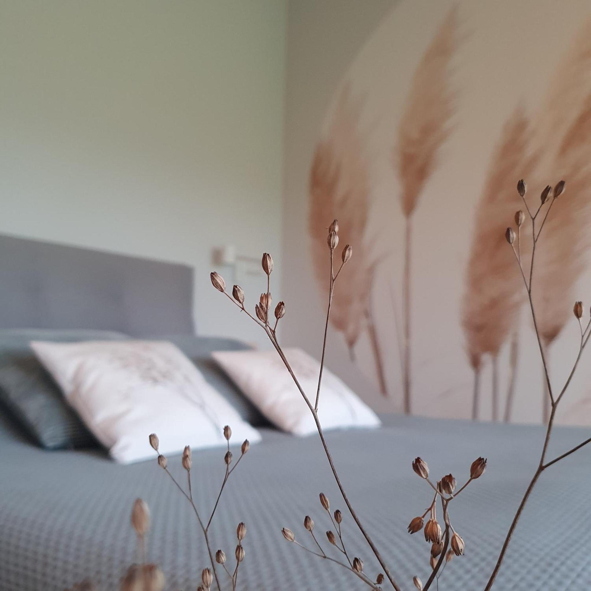 Bed and Breakfast De Buorkerij Tytsjerk Zewnętrze zdjęcie